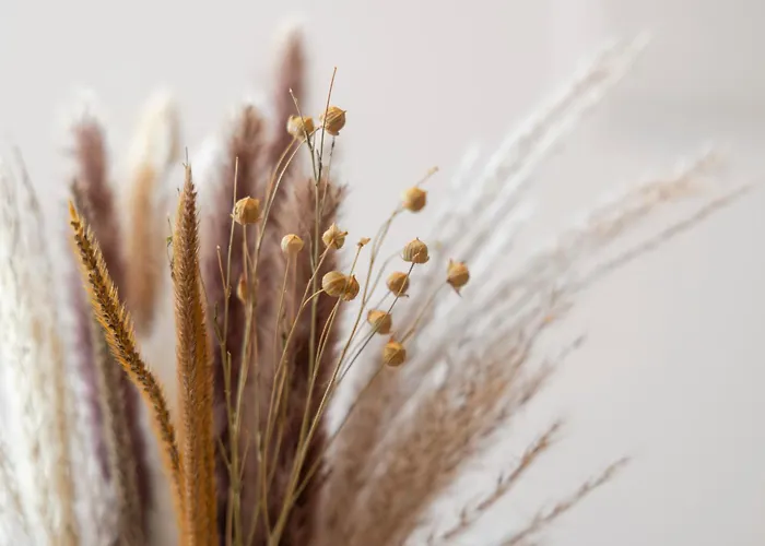 Appartement Bergmadl Neustift im Stubaital