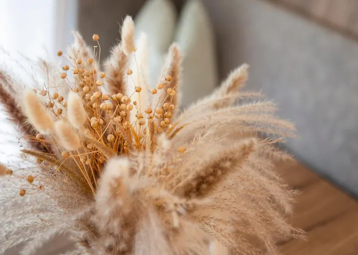 Bergmadl Appartement *